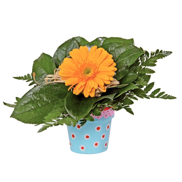 Lot de 10 pots de fleurs en carton, hauteur 10 cm