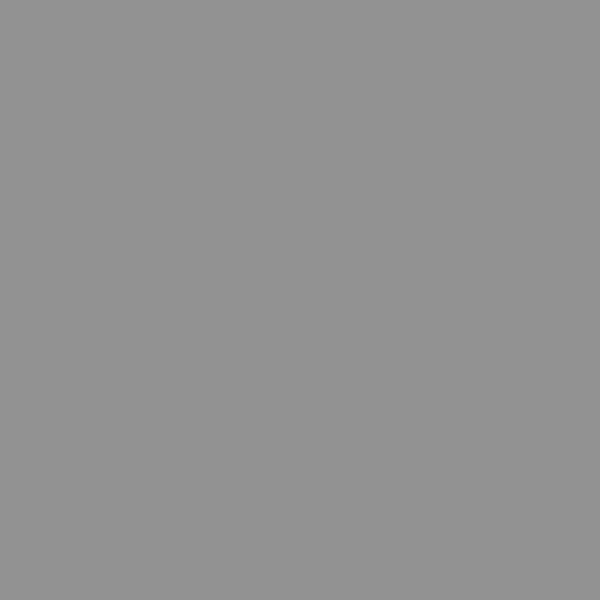 Paquet de 100 chemises 210g ROCK"S format 24x32 cm, gris