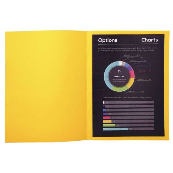Paquet de 100 chemises 210g ROCK"S format 24x32 cm, citron