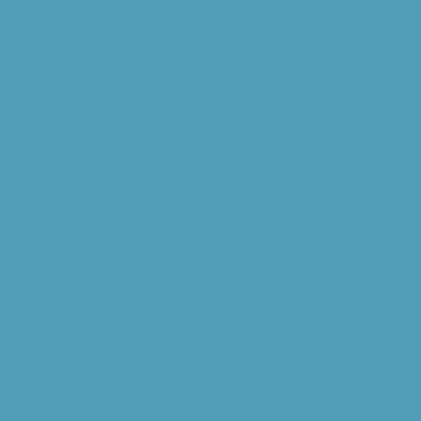 Paquet de 25 chemises rigides FOREVER dos toilé, bleu