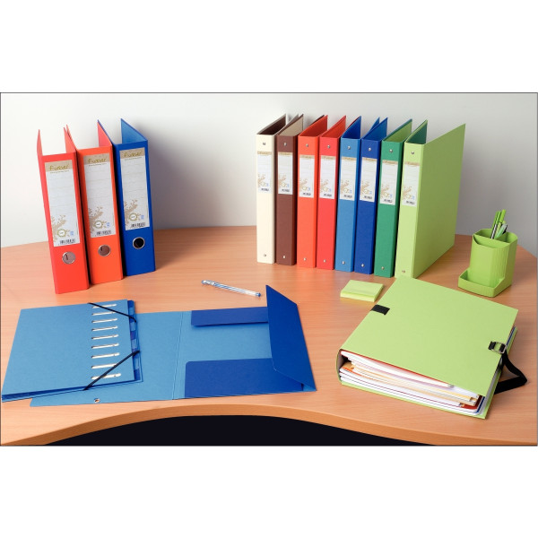 Carton de 25 chemises 3 rabats à élastiques FOREVER, coloris assortis