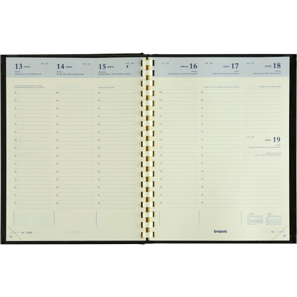 Agenda semainier Timing Ferrara assorti
