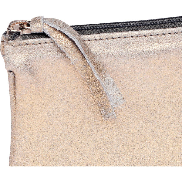 Grande pochette EVANESCENCE or
