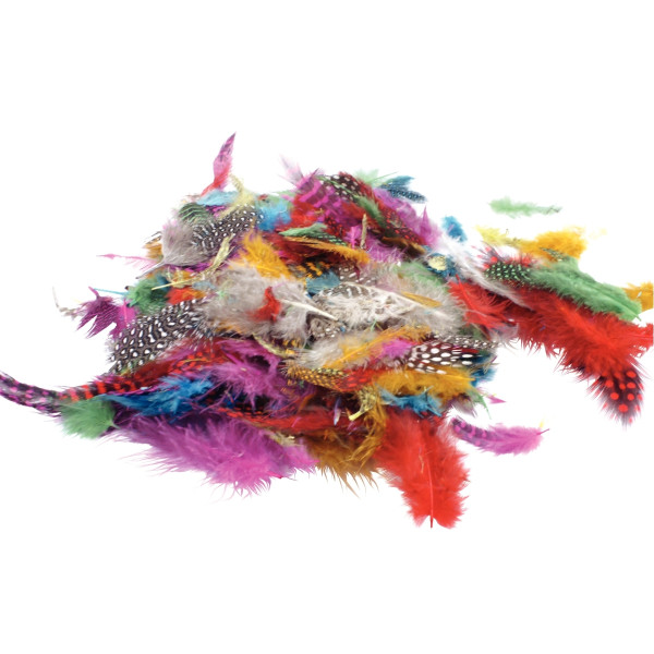 Sachet de 10 grammes de plumes faisan assorties