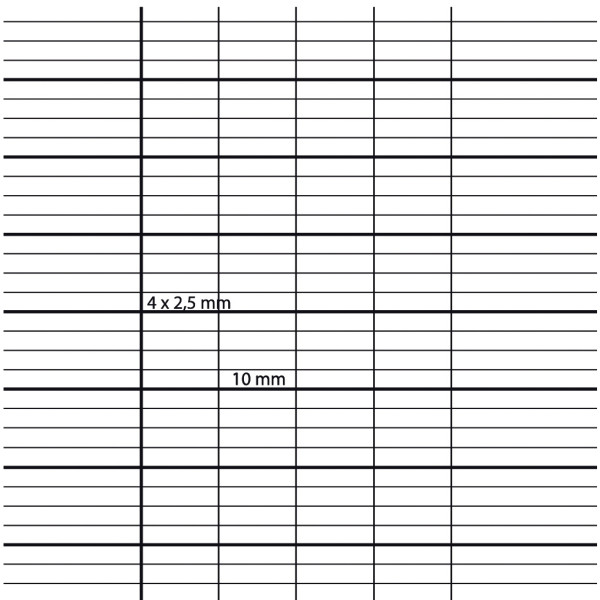 Piqûre 96 pages CLAIREFONTAINE, format 24x32 cm, seyès 2,5 mm agrandi, papier 90g, couverture carte,