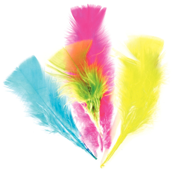 Sachet de 25 grammes de plumes de dinde, couleurs assorties