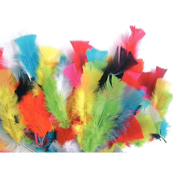 Sachet de 25 grammes de plumes de dinde, couleurs assorties
