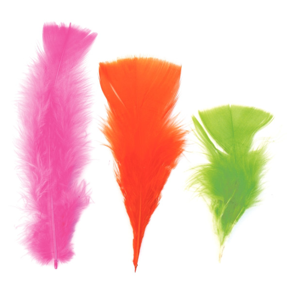 Sachet de 25 grammes de plumes de dinde, couleurs assorties