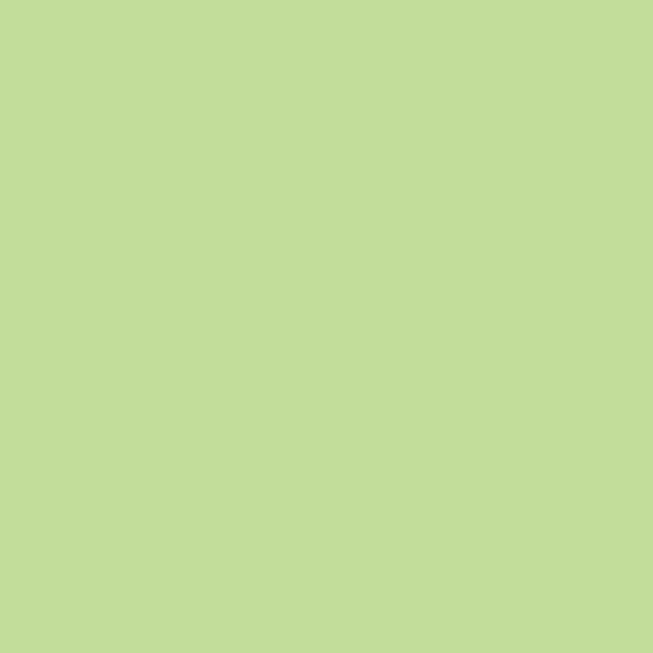 Paquet de 100 chemises 170g FOREVER format 24x32 cm, vert pré