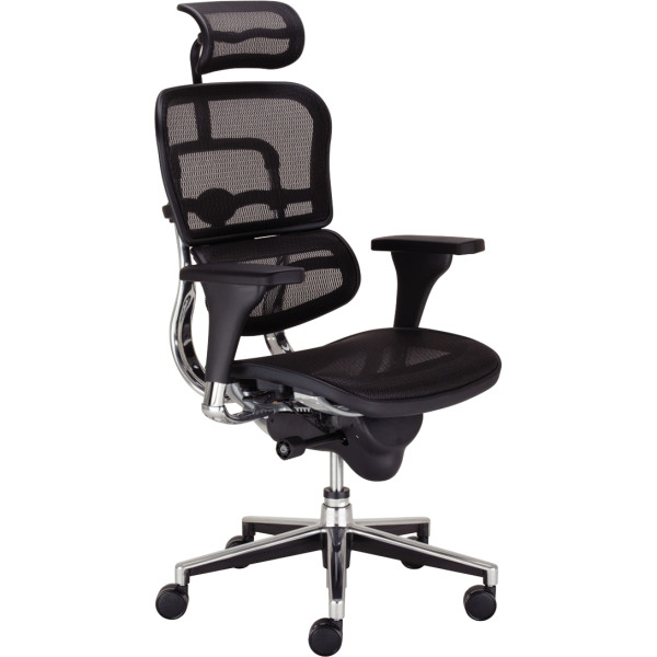 Siège manager ergonomique Ergohuman