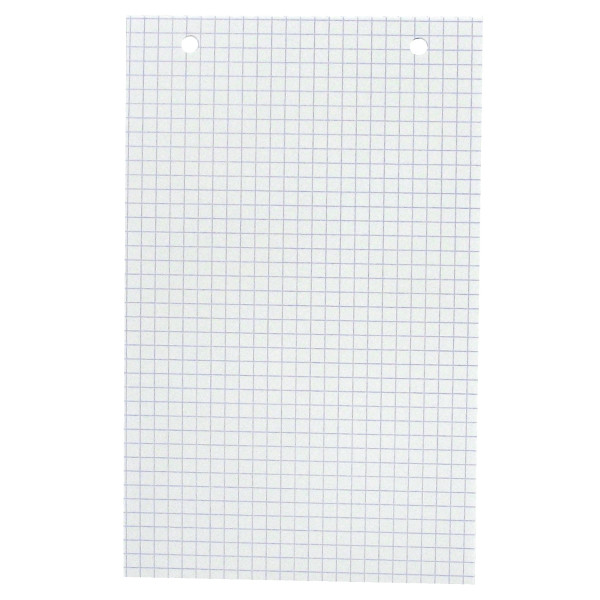 Boîte de 100 fiches bristol perforées carte forte 205 g blanc quadrillé 5x5 format 12,5 x 20 cm
