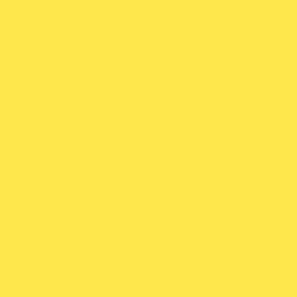 Paquet de 100 chemises 170g FOREVER, format 24x32 cm, jaune
