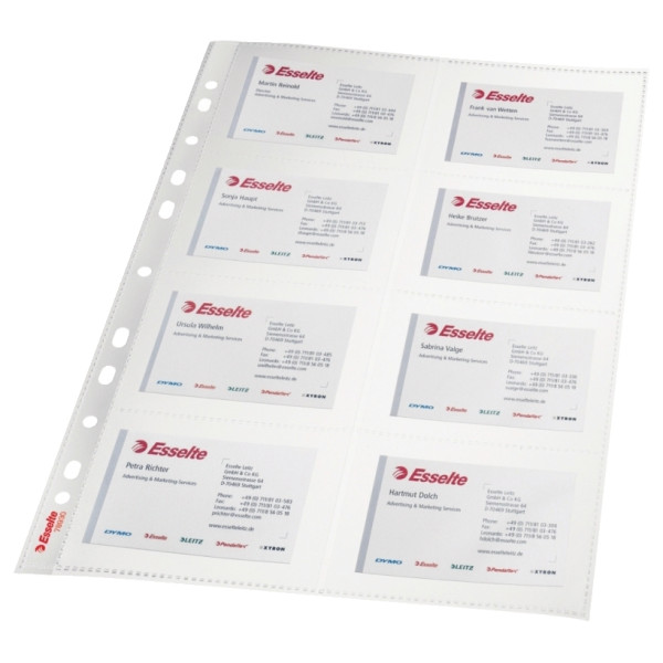 Paquet de 10 pochettes perforées en polypropylène pour cartes de visite