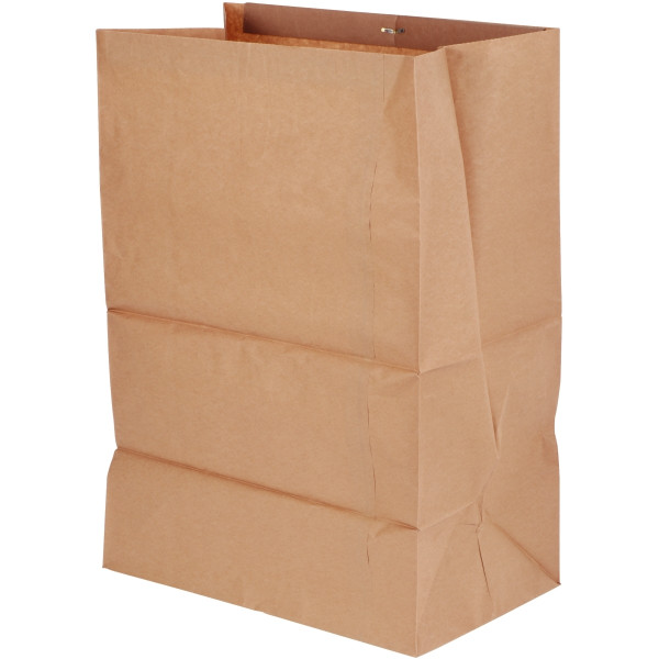 Pack de 5 sacs papier jetables 80L pour 2604/3104