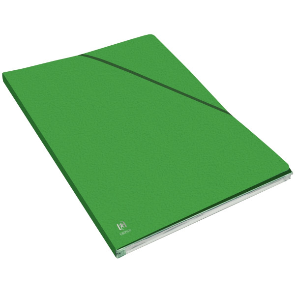 Carton de 10 chemises EUROFOLIO+ ALPINA, dos 15 mm, vert