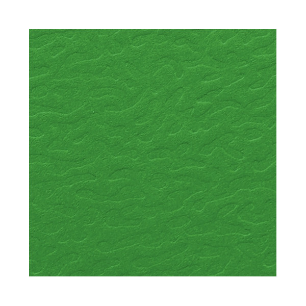 Carton de 10 chemises EUROFOLIO+ ALPINA, dos 15 mm, vert
