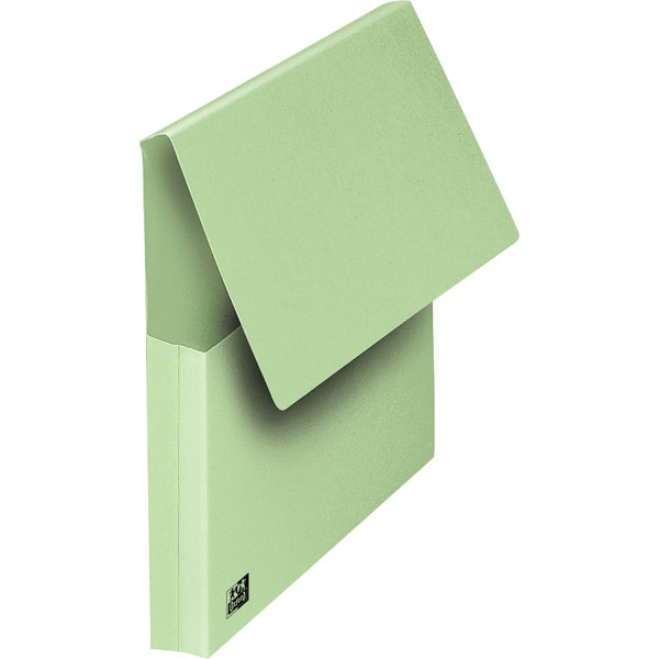Paquet de 10 pochettes VIP à rabat, format 24x32 cm, vert pastel
