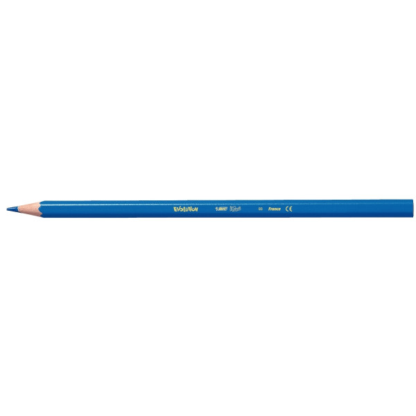 Pot de 60 crayons de couleur Évolution assortis