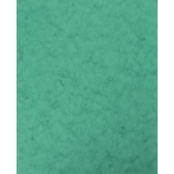 lot de 10 Protège-cahier 2 grands rabats  format 18 x 22 cm carte lustrée coloris vert