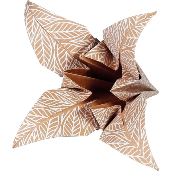 Pochette 60 feuillles origami 3 formats kraft floral