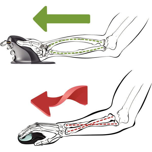 Souris ergonomique sans fil Penguin taille S