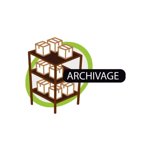Lot de 6 rouleaux adhésifs en polypropylène acrylique havane 66mx50mm