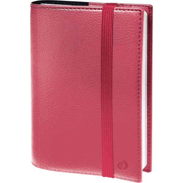 Agenda semainier Time&Life 16x24cm rose irisé