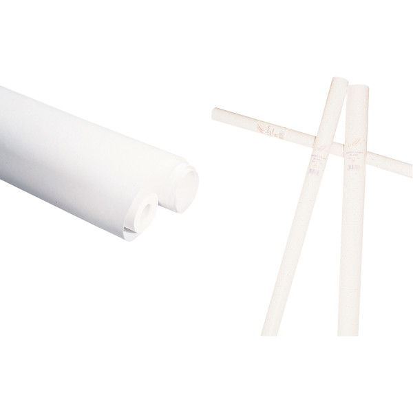 Rouleau de papier kraft 65g 3x0,70m blanc