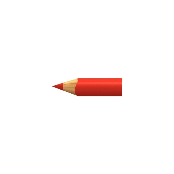 Étui de 12 crayons de couleur Super Ferby assortis
