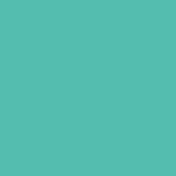 Agrafeuse de bureau Wow 5502 24/6 menthe