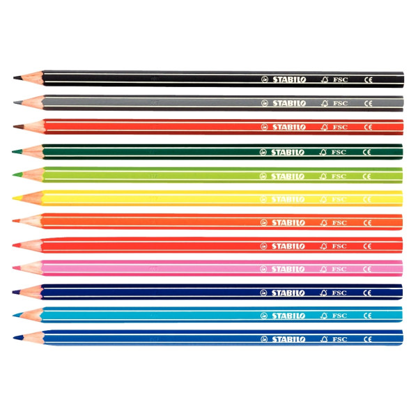 Étui de 12 crayons de couleur Greencolors assortis
