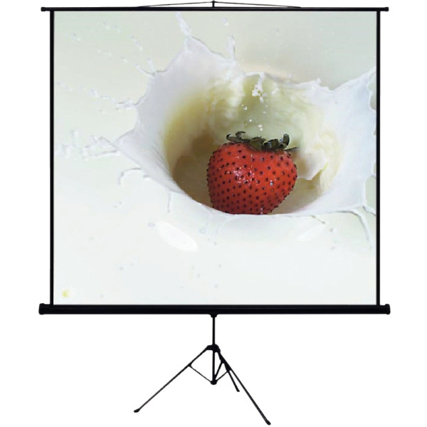 Ecran de projection avec trépied 160x160cm