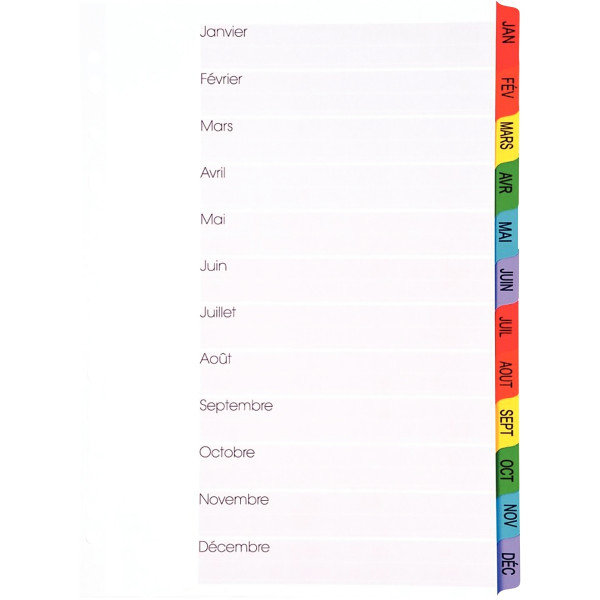 Jeu de 12 intercalaires mensuels en carte Mylar, format A4+
