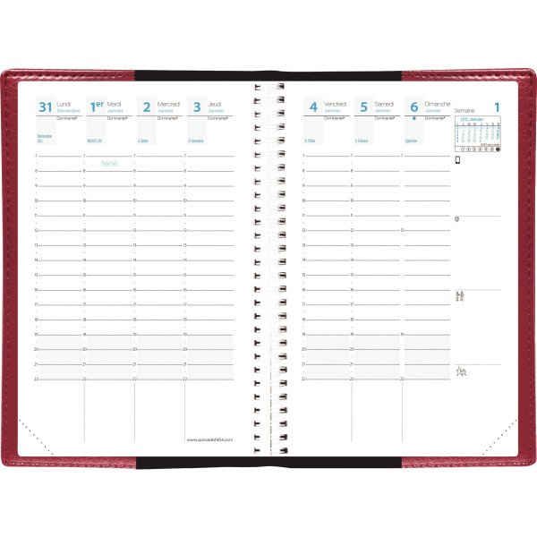 Agenda semainier Time&Life 10x15cm rose irisé
