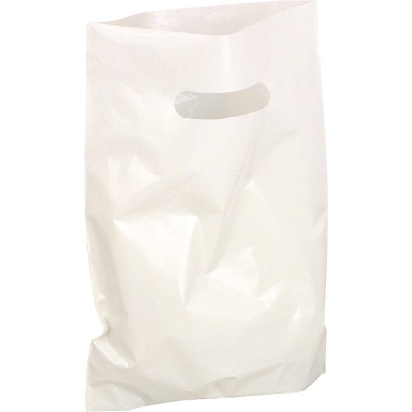 Paquet de 100 sacs plastique blanc 25x32x4cm