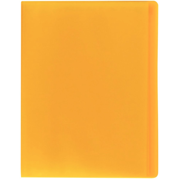 Carton de 10 protège-documents COLOR FRESH 100 vues, coloris assortis