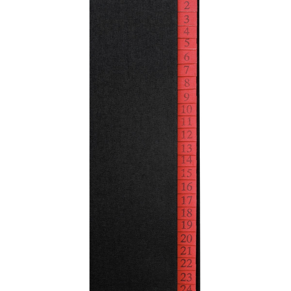 Trieur numérique toilé 31 compartiments, noir